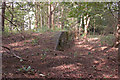SP0609 : Remains of Foss Cross Station (1) by MrC