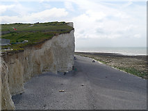 TV5595 : Beach and Cliff at Birling Gap by David Dixon