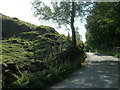 Gnat Hole - start of the footpath to Worm Stones