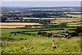 A pair of mara enjoy the view