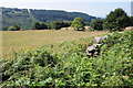 Farmland near Cefn-y-crib