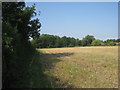 Footpath to Scopwick (3)