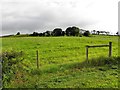 Fernaghandrum Townland