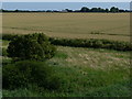 TF3835 : Flat farmland near Lundy's Farm by Mat Fascione