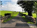 Minor bridge, Brogan Road