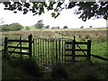 Gate and footpath