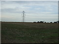 Farmland, Park Corner Farm