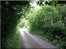 G1518 : Local road, Garraunard by Richard Webb