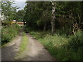 Track at western edge of Bell Wood