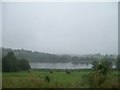 H3220 : Cattle grazing on the shores of Lough Killymackan by Eric Jones