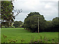 Field and wood north of Bex Lane