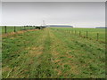 Green Lane leading to Lanshaw Farm