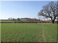 SP1264 : Heart of England Way nears a field corner by Robin Stott