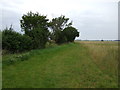 Farm track off the A1198 (bridleway)