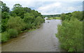 River Wye downstream from Hay Bridge, Hay-on-Wye