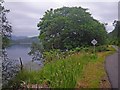NM7960 : Thin strip of shoreline between the A884 and Loch Sunart by C Michael Hogan
