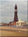 SD3035 : Blackpool Beach and Tower by David Dixon