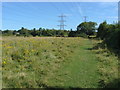 Fields, Hamm Court Farm