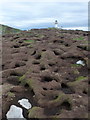 NA7246 : Flannan Isles: puffin burrows by Chris Downer