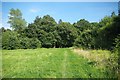 Crowsheath Community Woodland