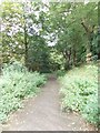 Footpath - off Delph Lane