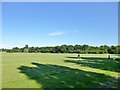 Tooting Common