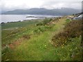 NG7713 : Coastal terrace scrubland along the Sound of Sleat by C Michael Hogan