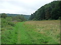 Riverside path below Courtfield