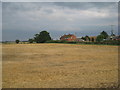 Furze Hill seen from the lane to Coates