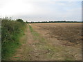 SK8982 : Field off Ingham Road near Stow by Jonathan Thacker