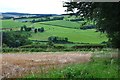 Field corner below Bonchester Hill