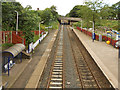 Cherry Tree Station