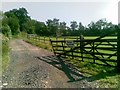 Hedsor Equestrian Centre