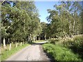 Bend in the lane to Belwade