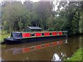 Moored in a shady spot