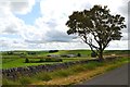 Looking towards Lee Farm, Tideswell Moor