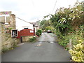 Dobb Kiln Lane - Dowley Gap Lane