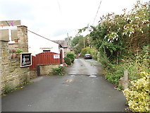 SE1138 : Dobb Kiln Lane - Dowley Gap Lane by Betty Longbottom