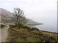 Shores of Loch Linnhe