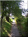 TM3877 : Path to Beech Close by Geographer