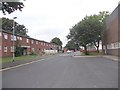 Disraeli Gardens - looking towards Disraeli Terrace