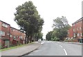 Coupland Street - viewed from Lady Pit Lane