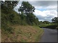 ST1401 : Roadside verge near Awliscombe House by David Smith