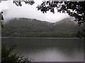 NY1221 : Loweswater and Holme Wood by Peter Bond