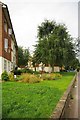 Community Garden; Hayes