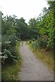 A path across Hayes Common