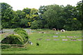 Garden plots on the edge of Sarre