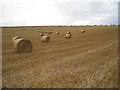 Straw bales near Darrol House