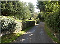 Lane past the village churchyard, Eardisland  