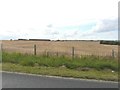 View northeast  from Harty Ferry Road